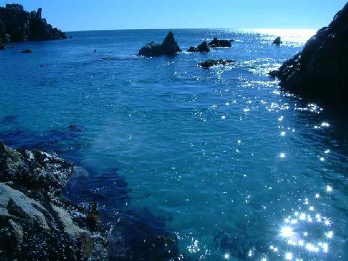 Marebella Walker Bay Coast Gallery