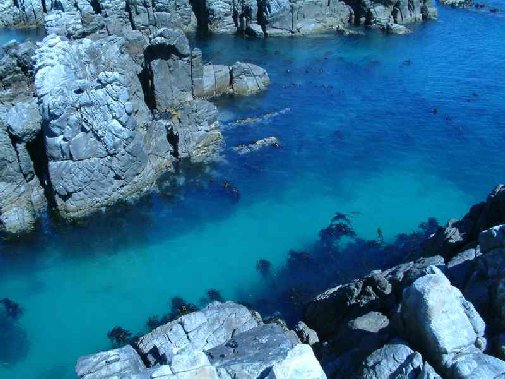 Walker Bay coast image 2