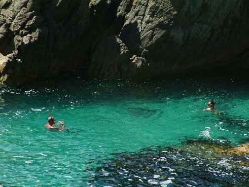 Walker Bay coast image 3