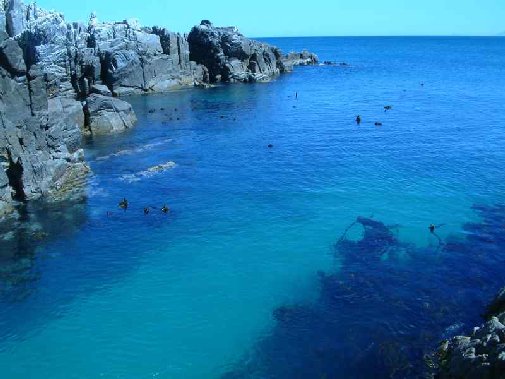 Walker Bay coast image 4