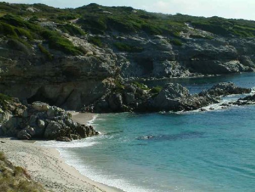 Walker Bay coast image 12