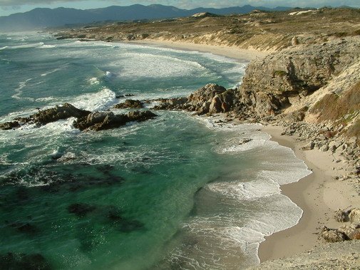 Walker Bay coast image 13