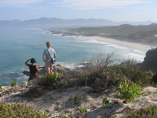 Walker Bay coast image 14