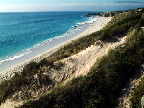 Walker Bay coast image 16