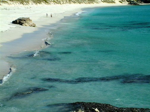 Walker Bay coast image 17