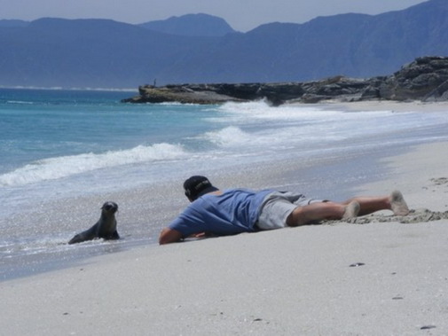 Walker Bay coast image 18