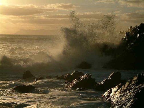 Winter Waves Gallery